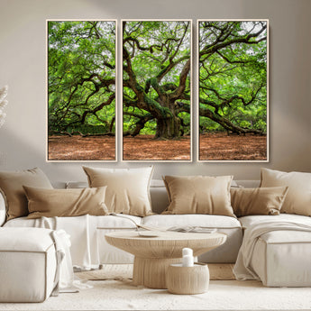51255351-MGV-CV-36X24-Ancient Tree Wall Art – Majestic Oak Canvas Print, Large Nature Photography, Sacred Forest Landscape Wall Décor, Wisdom Tree