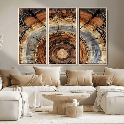 15184146-MGV-CV-36X24-Tree Rings Wall Art Canvas Print, Framed Wood Texture Art Picture Print, Rustic Pattern Perfect Rustic Organic Decor Artwork