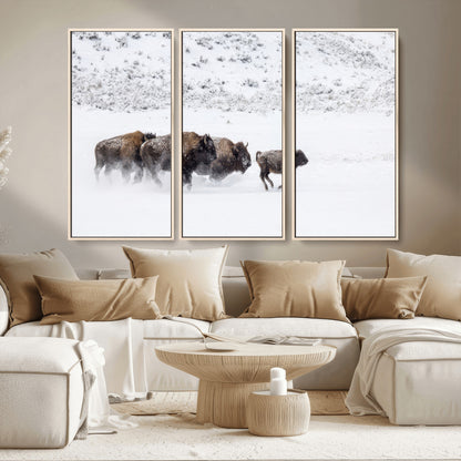 56216945-MGV-CV-36X24-Bison Herd Decor Wall Art Canvas Print, Framed Snowy Bison Scene Art Picture Print, Winter Wildlife Theme Perfect Rustic Western
