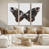 99831147-MGV-CV-36X24-Spotted Butterfly Wall Art Canvas Print, Framed Neutral Insect Theme Art Picture Print, Earthy Wing Pattern Perfect Modern Rustic