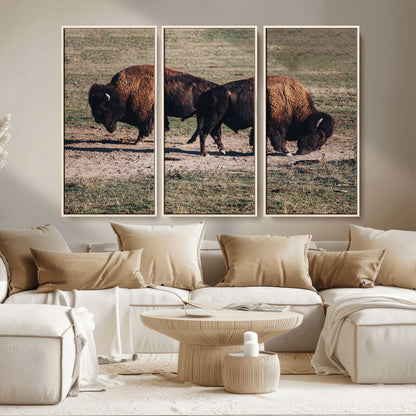 58141885-MGV-CV-36X24-Bison Photography Wall Art Canvas Print, Framed Western Wildlife Art Picture Print, Modern Ranch Perfect Western Rustic Decor