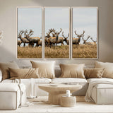 42170220-MGV-CV-36X24-Elk Herd Wall Art Canvas Print, Framed Wildlife Photography Art Picture Print, Majestic Antlers Perfect Rustic Wildlife Decor