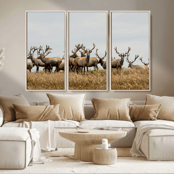 42170220-MGV-CV-36X24-Elk Herd Wall Art Canvas Print, Framed Wildlife Photography Art Picture Print, Majestic Antlers Perfect Rustic Wildlife Decor