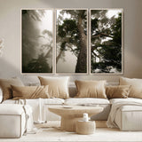 87969493-MGV-CV-36X24-Forest Wall Art – Misty Tall Trees Canvas Print, Dramatic Woodland Photography Decor for Bedroom, Living Room, Office, Cabin,