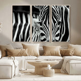 43631-MGV-CV-36X24-Zebra Wall Art – Black & White Safari Wildlife Canvas Print, Modern Animal Photography Decor for Living Room, Office, or Bedroom