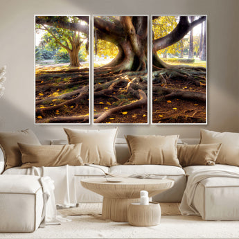 53335-MGV-CV-36X24-Majestic Tree with Sprawling Roots Wall Art – Serene Sunlit Park Scene, Nature Canvas Print, Perfect for Living Room, Office or