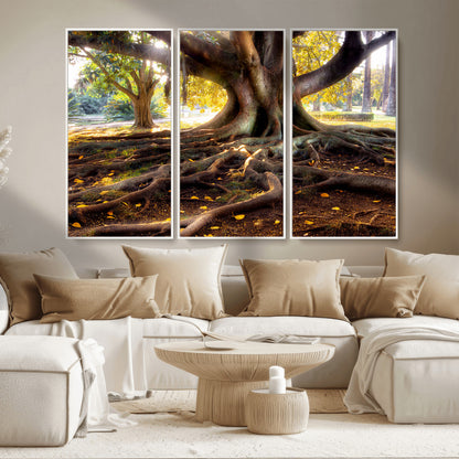 53335-MGV-CV-36X24-Majestic Tree with Sprawling Roots Wall Art – Serene Sunlit Park Scene, Nature Canvas Print, Perfect for Living Room, Office or