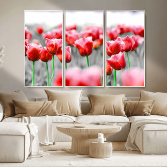 44554-MGV-CV-36X24-Vibrant red tulips stand out beautifully against a black-and-white background, making a striking decor piece perfect for any home