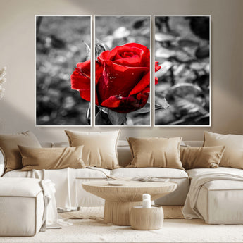 84671-MGV-CV-36X24-Red Rose Wall Art – Vibrant Single Bloom Canvas Print with Black and White Background, Elegant Floral Decor for Living Room,