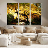 19067-MGV-CV-36X24-Golden Canopy Wall Art – Panoramic Autumn Tree Canvas Print, Warm Seasonal Decor for Living Room, Office or Garden Space