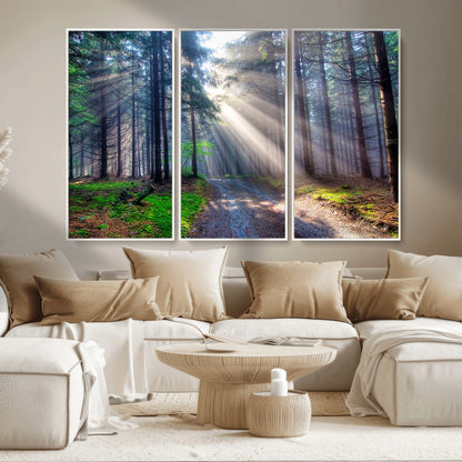 42047-MGV-CV-36X24-Sunlit Forest Path Wall Art – Nature Canvas Print, Serene Woodland Landscape, Perfect Home & Office Decor for Calm and Tranquil