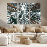 18790-MGV-CV-36X24-Pine Canopy Wall Art – Panoramic View of Towering Pines Canvas Print, Nature-Inspired Decor for Office, Cabin or Living Room