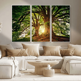 52150-MGV-CV-36X24-Majestic Tree Wall Art – Large Nature Canvas Print with Sunlight Through Branches, Rustic Forest Decor for Living Room, Bedroom or