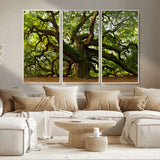 29407-MGV-CV-36X24-Ancient Oak Tree Wall Art – Majestic Nature Canvas Print, Large Tree Photography Decor for Living Room or Office