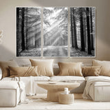 39665-MGV-CV-36X24-Black and White Forest Path Wall Art – Sunlight Rays in Trees Canvas Print, Nature Landscape Decor for Living Room or Office
