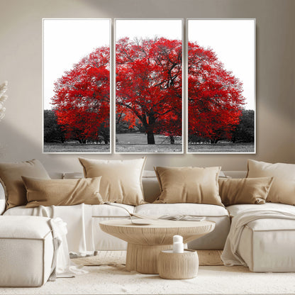 80021-MGV-CV-36X24-Red Tree Wall Art – Striking Black and White Landscape Canvas Print with Vibrant Red Leaves, Modern Nature Decor for Living Room