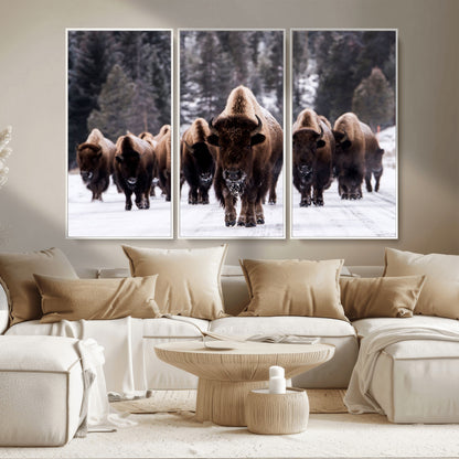 66871-MGV-CV-36X24-Bison Herd Wall Art – Wildlife Buffalo Canvas Print, Rustic Western Nature Photography Decor for Living Room, Office, Cabin, or