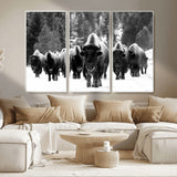62434-MGV-CV-36X24-Bison Herd Wall Art – Majestic Black and White Buffalo Canvas Print, Wildlife Nature Photography Decor for Living Room, Office or