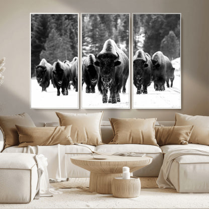 62434-MGV-CV-36X24-Bison Herd Wall Art – Majestic Black and White Buffalo Canvas Print, Wildlife Nature Photography Decor for Living Room, Office or