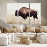 48406-MGV-CV-36X24-American Bison Wall Art – Rustic Buffalo Canvas Print in Prairie Field, Western Wildlife Photography Decor for Cabin, Lodge,