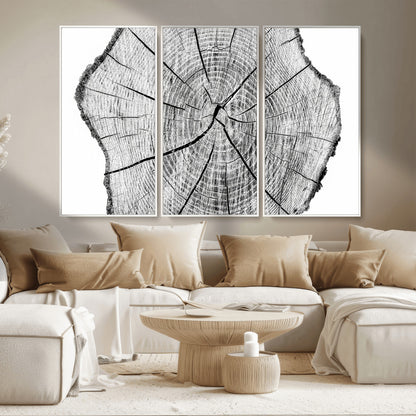 98709-MGV-CV-36X24-Tree Ring Wall Art – Black and White Canvas Print Rustic Wood Cross Section, Minimal Nature Inspired Decor for Living Room,