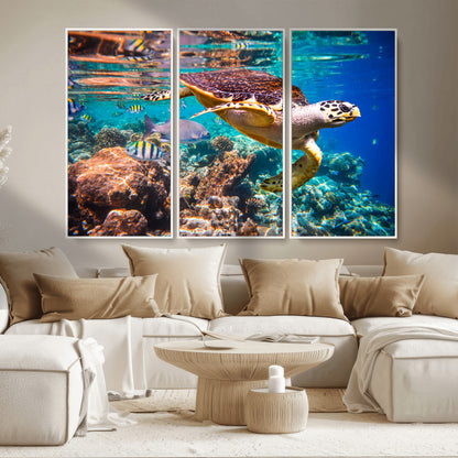66614-MGV-CV-36X24-Sea Turtle Wall Art – Hawksbill Turtle Swimming Over Coral Reef Canvas Print, Ocean Marine Life Decor for Beach House, Coastal