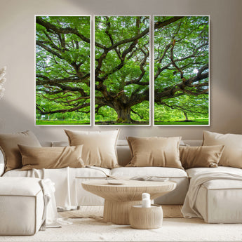 49375306-MGV-CV-36X24-Ancient Tree Wall Art Canvas Print, Framed Sprawling Branches Art Picture Print, Gnarling Tree Perfect Earthy Natural Decor