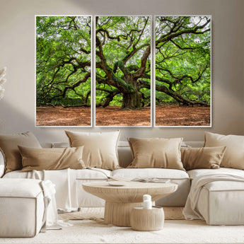 51255351-MGV-CV-36X24-Ancient Tree Wall Art – Majestic Oak Canvas Print, Large Nature Photography, Sacred Forest Landscape Wall Décor, Wisdom Tree