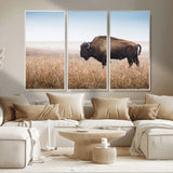 91267849-MGV-CV-36X24-Wild Bison Wall Art Canvas Print, Framed Bison in Prairie Art Picture Print, Rustic Western Perfect Rustic Western Decor Artwork