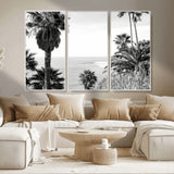 89458520-MGV-CV-36X24-Palm Trees Wall Art Canvas Print, Framed Coastal View Art Picture Print, Ocean Horizon Perfect Monochrome Coast Decor Artwork