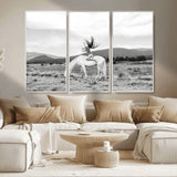 62789800-MGV-CV-36X24-White Horse Wall Art Canvas Print, Framed Woman Rider Art Picture Print, Equestrian Pose Perfect Western Boho Decor Artwork