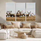 42170220-MGV-CV-36X24-Elk Herd Wall Art Canvas Print, Framed Wildlife Photography Art Picture Print, Majestic Antlers Perfect Rustic Wildlife Decor