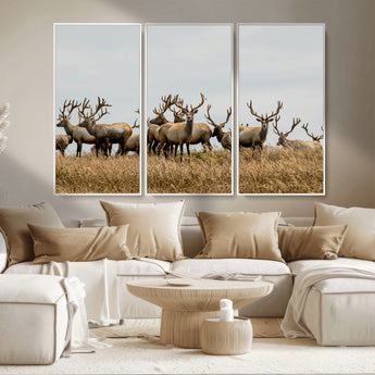 42170220-MGV-CV-36X24-Elk Herd Wall Art Canvas Print, Framed Wildlife Photography Art Picture Print, Majestic Antlers Perfect Rustic Wildlife Decor