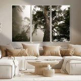 87969493-MGV-CV-36X24-Forest Wall Art – Misty Tall Trees Canvas Print, Dramatic Woodland Photography Decor for Bedroom, Living Room, Office, Cabin,