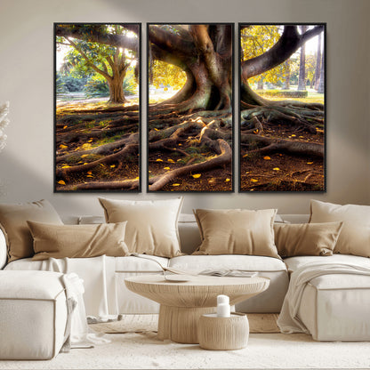 53335-MGV-FC-48X32-3P_Black-Majestic Tree with Sprawling Roots Wall Art – Serene Sunlit Park Scene, Nature Canvas Print, Perfect for Living Room, Office or