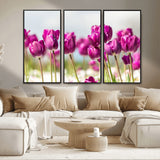 30632-MGV-FC-48X32-3P_Black-Purple Tulip Field Wall Art – Beautiful Spring Flowers Canvas Print with Soft Focus and Bright Sky, Ideal Floral Decor for Home or