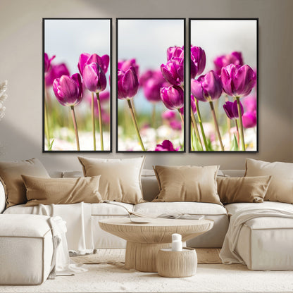 30632-MGV-FC-48X32-3P_Black-Purple Tulip Field Wall Art – Beautiful Spring Flowers Canvas Print with Soft Focus and Bright Sky, Ideal Floral Decor for Home or