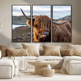71222-MGV-CV-36X24-A playful Highland cow with shaggy fur sticks out its tongue, set against a rugged landscape — perfect for quirky home or office