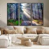 42047-MGV-FC-48X32-3P_Black-Sunlit Forest Path Wall Art – Nature Canvas Print, Serene Woodland Landscape, Perfect Home & Office Decor for Calm and Tranquil