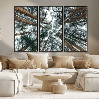 18790-MGV-CV-36X24-Pine Canopy Wall Art – Panoramic View of Towering Pines Canvas Print, Nature-Inspired Decor for Office, Cabin or Living Room