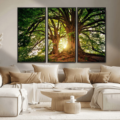 52150-MGV-CV-36X24-Majestic Tree Wall Art – Large Nature Canvas Print with Sunlight Through Branches, Rustic Forest Decor for Living Room, Bedroom or