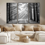 39665-MGV-CV-36X24-Black and White Forest Path Wall Art – Sunlight Rays in Trees Canvas Print, Nature Landscape Decor for Living Room