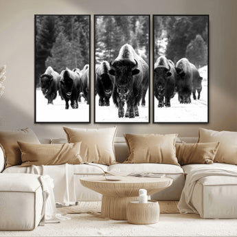 62434-MGV-FC-48X32-3P_Black-Bison Herd Wall Art – Majestic Black and White Buffalo Canvas Print, Wildlife Nature Photography Decor for Living Room, Office or
