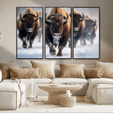 80512-MGV-CV-36X24-Bison Herd Wall Art – Buffalo Running in Snow Canvas Print, Rustic Wildlife Photography Decor for Cabin, Lodge, or Living Room