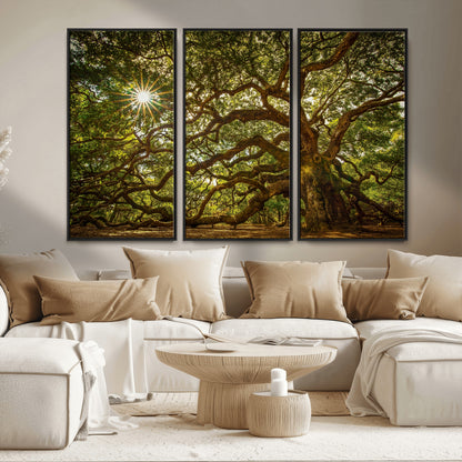 57983-MGV-CV-36X24-Angel Oak Tree Wall Art Canvas Print, Framed Oak Tree Art Picture Print, Angel Oak Perfect Rustic Nature Decor Artwork