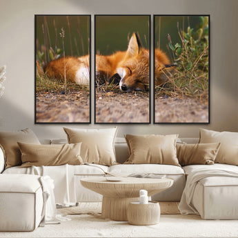 25085-MGV-FC-48X32-3P_Black-Sleeping Fox Wall Art Canvas Print, Framed Rustic Fox Art Picture Print, Wildlife Animal Perfect Rustic Farmhouse Decor Artwork