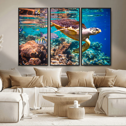 66614-MGV-FC-48X32-3P_Black-Sea Turtle Wall Art – Hawksbill Turtle Swimming Over Coral Reef Canvas Print, Ocean Marine Life Decor for Beach House, Coastal