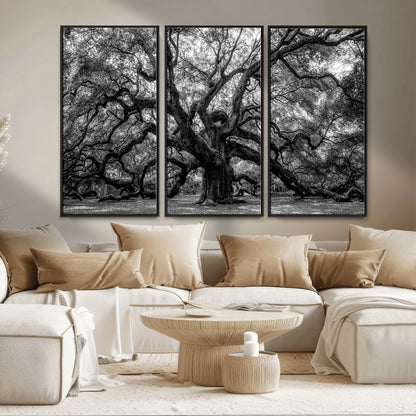 132944706-MGV-FC-48X32-3P_Black-Ancient Tree Wall Art – Black and White Photography Canvas Print Featuring Majestic Twisting Branches, Rustic Nature Artwork for