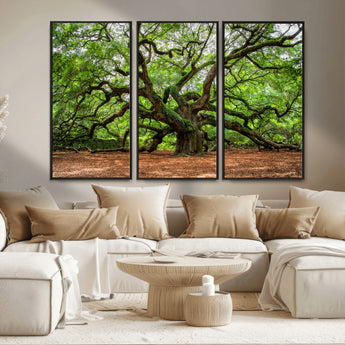 51255351-MGV-FC-48X32-3P_Black-Ancient Tree Wall Art – Majestic Oak Canvas Print, Large Nature Photography, Sacred Forest Landscape Wall Décor, Wisdom Tree
