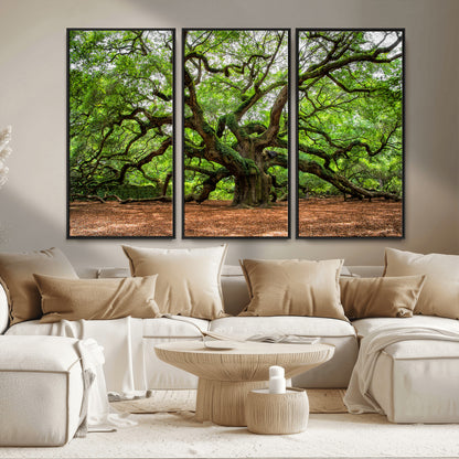 51255351-MGV-FC-48X32-3P_Black-Ancient Tree Wall Art – Majestic Oak Canvas Print, Large Nature Photography, Sacred Forest Landscape Wall Décor, Wisdom Tree